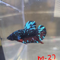 Avatar Stardust Male HMPK